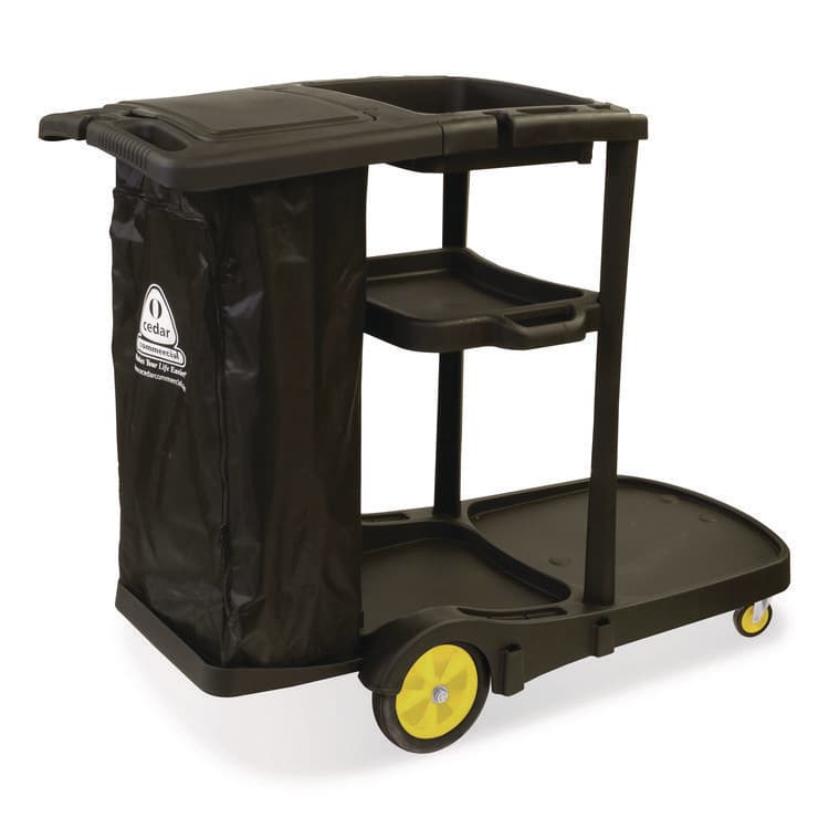 NEXSTEP COMMERCIAL PRODUCTS Premier Janitor Cart, 2 Shelves, Plastic, 18.25 x 44.5 x 38, Black (NCP96980)