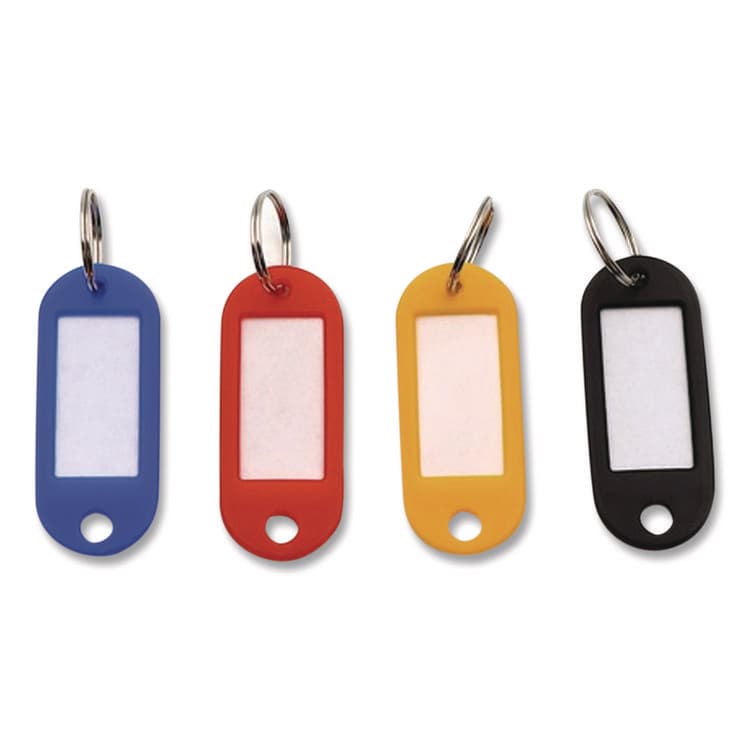 ADVANTUS CORPORATION Key Tags Label Window, 0.88 x 0.19 x 2, Assorted, 20/Pack (AVTKEY98007) thumbnail 4
