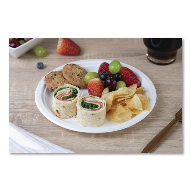 SOUTHERN CHAMPION TRAY ChampWare Molded Fiber Tableware, Molded Fiber Plate, 9" dia, White, 125 Plates/Sleeve, 4 Sleeves/Carton (SCH18140WPF) thumbnail 4