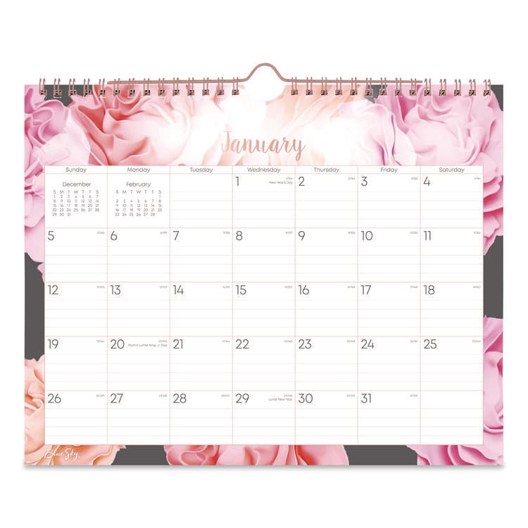 BLUE SKY Joselyn Monthly Wall Calendar, Floral Artwork, 11 x 8.75, White/Multicolor Sheets, 12-Month (Jan to Dec): 2026 (BLS147480)
