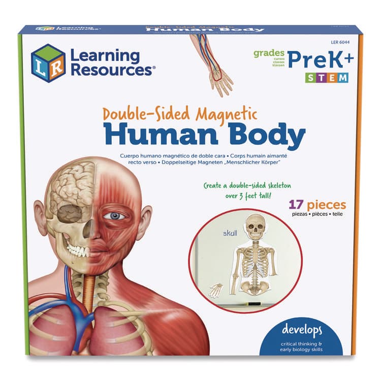 LEARNING RESOURCES Double-Sided Magnetic Human Body, Grades K to 5, English/Spanish, Assorted Colors, 17 Pieces (LRNLER6044)
