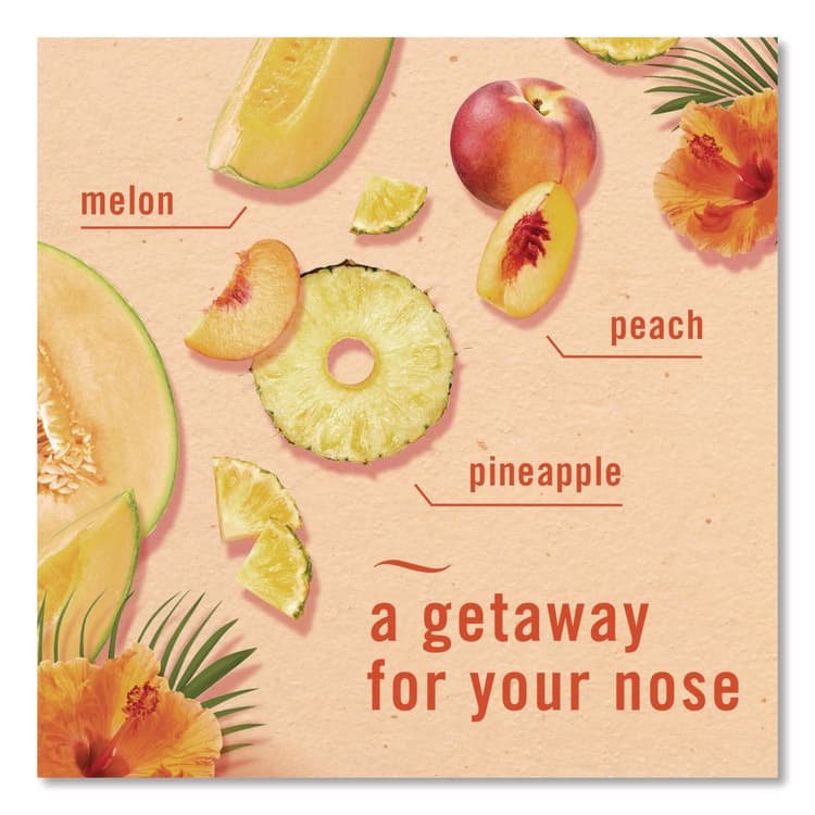 PROCTER & GAMBLE AIR, Hawaiian Aloha, 8.8 oz Aerosol Spray, 2/Pack, 3 Packs/Carton (PGC17342) thumbnail 3