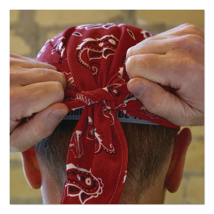 ERGODYNE CORPORATION Chill-Its 6615 High-Performance Bandana Doo Rag with Terry Cloth Sweatband, One Size Fits Most, Red Western (EGO12479) thumbnail 3