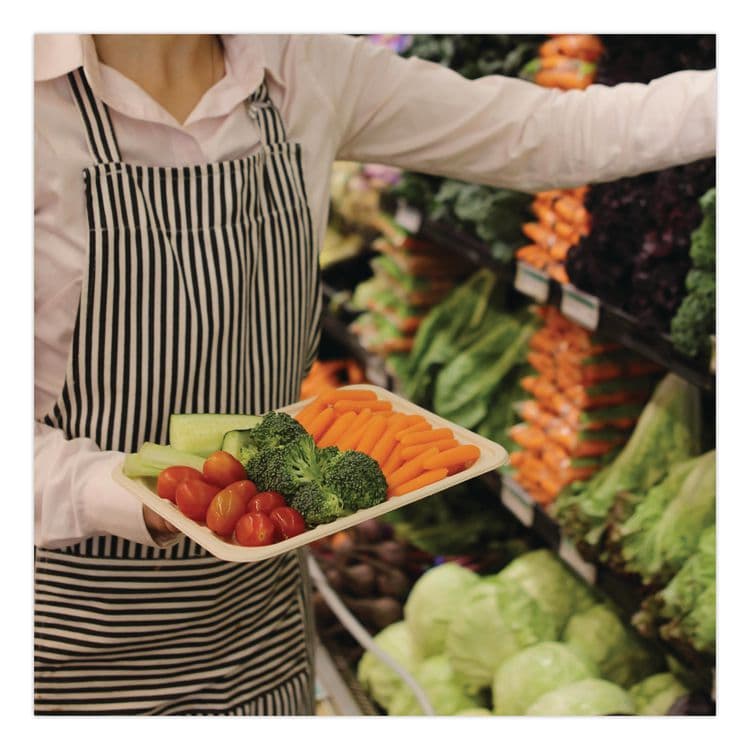WORLD CENTRIC Laminated Fiber Meat and Produce Trays, PLA Lined, PFAS Free, 8.2 x 5.7 x 0.7, Natural, Paper, 500/Carton (WORTRSC2SLLF) thumbnail 2