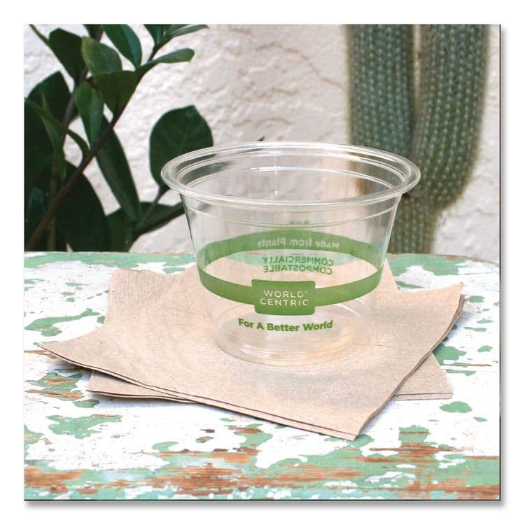 WORLD CENTRIC PLA Clear Cold Cups, 9 oz, Plastic, Clear, 1,000/Carton (WORCPCS9Q) thumbnail 2