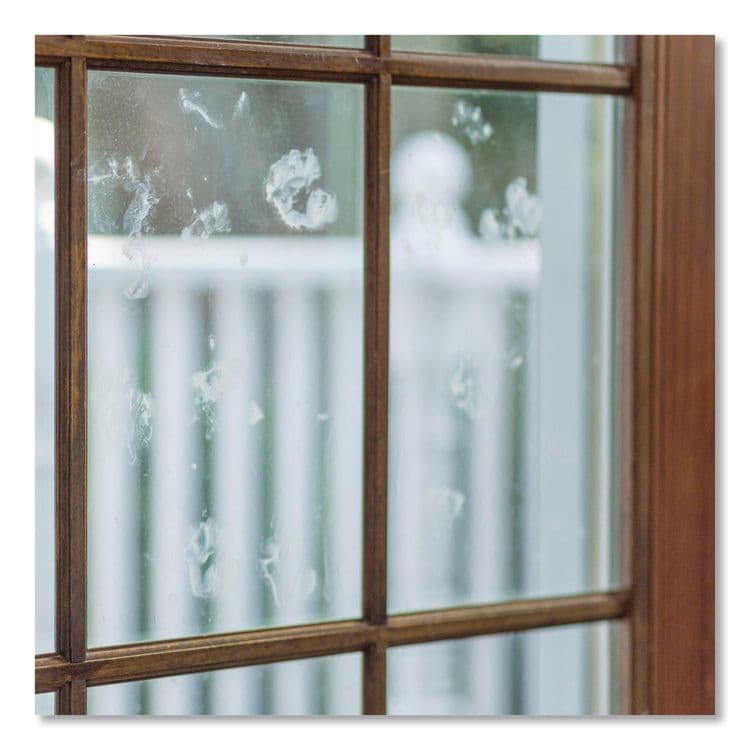 RUST-OLEUM CORPORATION Professional Glass Cleaner, 32 oz Spray Bottle, 6/Carton (RST352245) thumbnail 3