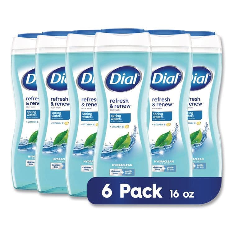 DIAL PROFESSIONAL Body Wash, Spring Water Scent, 16 oz, 6/Carton (DIA02653)