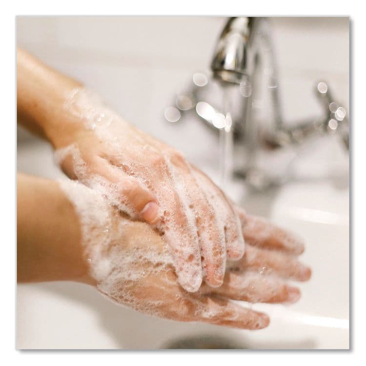 DIAL PROFESSIONAL Original Antibacterial Foaming Hand Wash, Original Scent, 7.5 oz (DIA02936EA) thumbnail 3