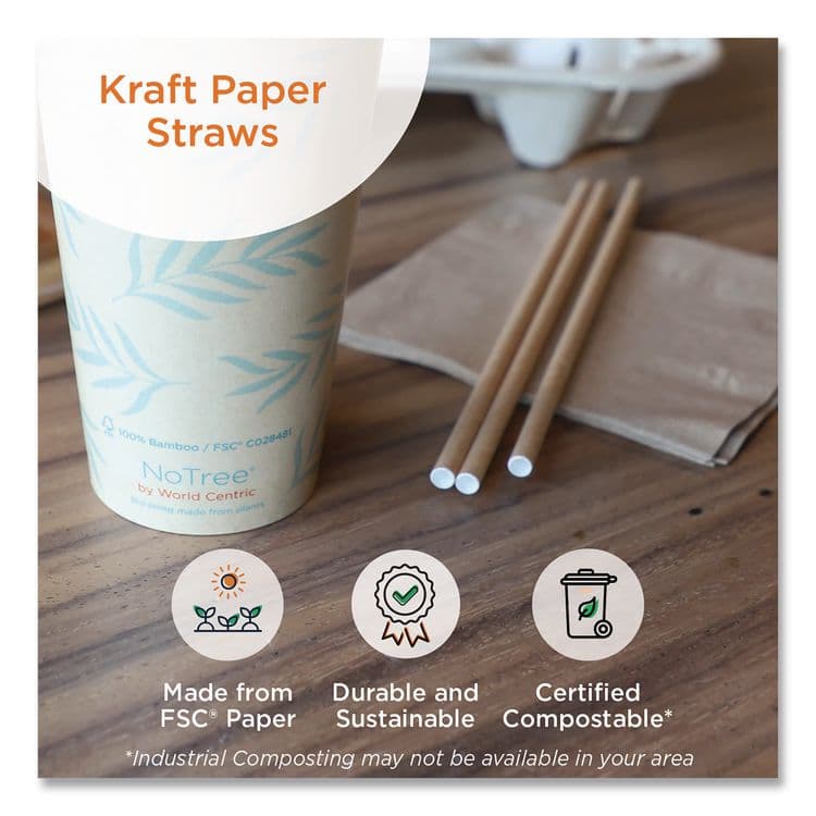 WORLD CENTRIC Sustainable Kraft Paper Straws, 8", 6,000/Carton (WORSTPA8K) thumbnail 2
