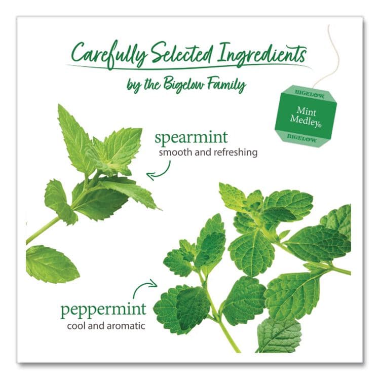 BIGELOW TEA CO. Mint Medley Herbal Tea, 28/Box (BTC10393) thumbnail 3