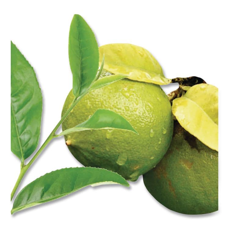 BIGELOW TEA CO. steep Tea, Earl Grey, 1.28 oz Tea Bag, 20/Box (BTC17700) thumbnail 4