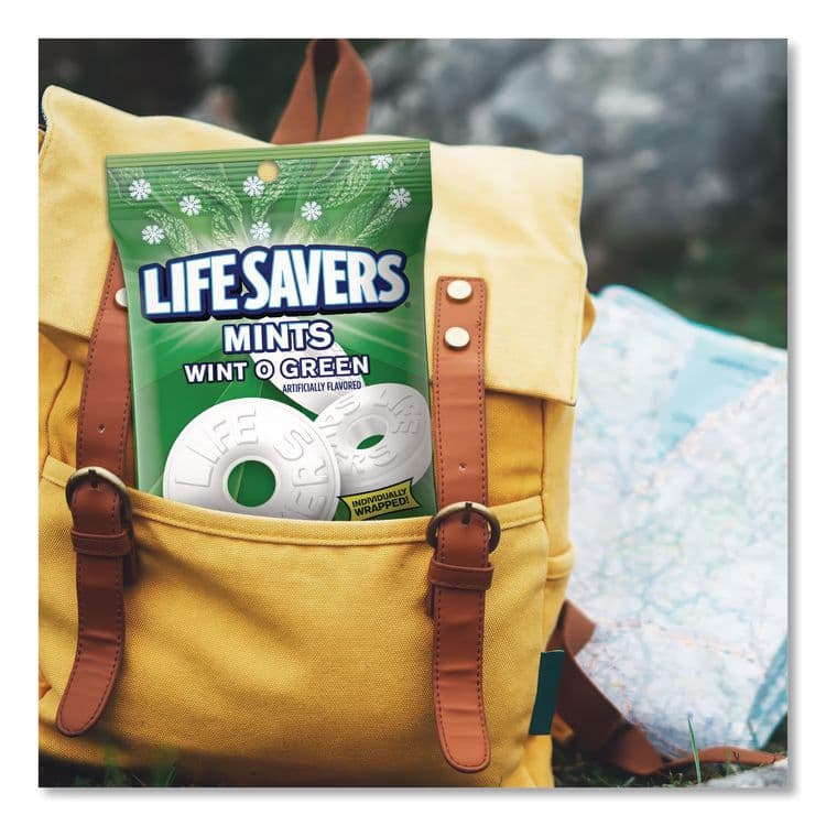 THE WRIGLEY COMPANY Hard Candy Mints, Wint-O-Green, Individually Wrapped, 6.25 oz Bag (LFS88504) thumbnail 4