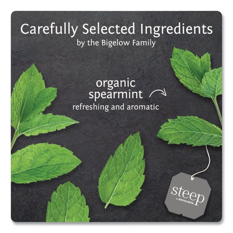 BIGELOW TEA CO. steep Tea, Mint, 1.41 oz Tea Bag, 20/Box (BTC17709) thumbnail 4
