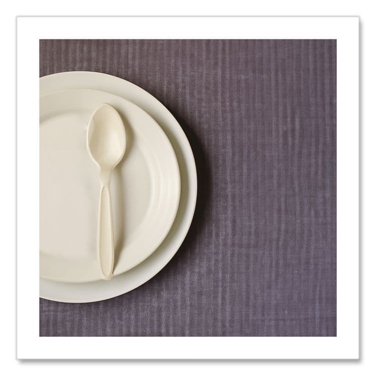 DART Reliance Mediumweight Cutlery, Spoon, Plastic, Champagne, 1,000/Carton (SCCRSAT) thumbnail 4