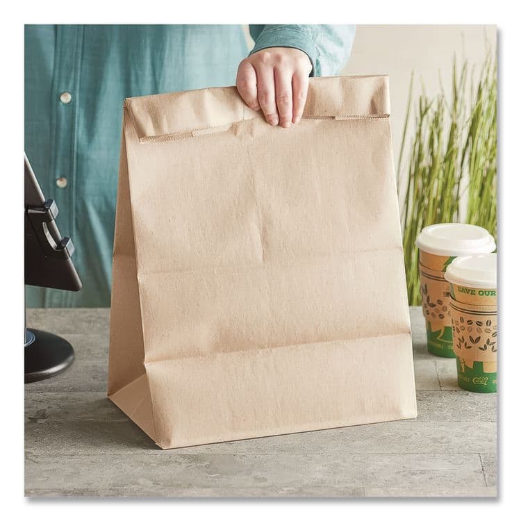ROSS & WALLACE PAPER PRODUCTS, . Grocery Paper Bags, 1/6 BBL Size, 40# Basis Weight, 12" x 7" x 17", Kraft, 400/Bundle (BAGSK164040) thumbnail 3