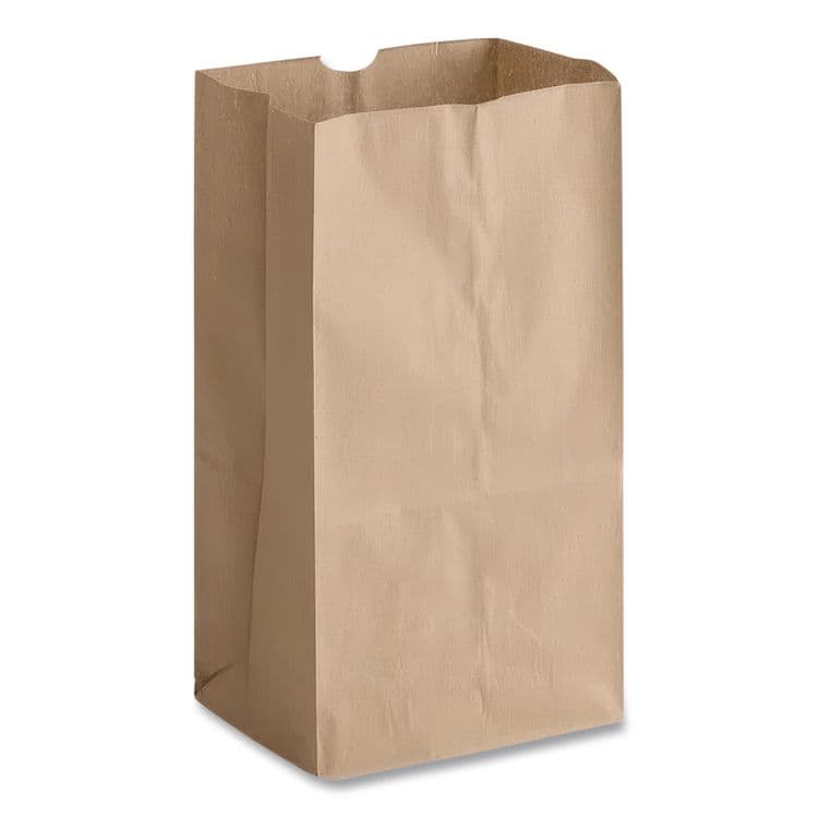 ROSS & WALLACE PAPER PRODUCTS, . Grocery Paper Bags, 25# Size, Heavy-Duty, 50# Basis Weight, 8.25" x 5.38" x 18", Kraft, 500/Bundle (BAGGH25) thumbnail 2