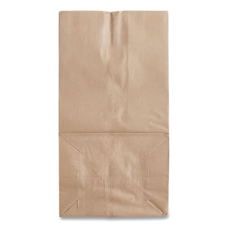 ROSS & WALLACE PAPER PRODUCTS, . Grocery Paper Bags, 25# Size, Heavy-Duty, 50# Basis Weight, 8.25" x 5.38" x 18", Kraft, 500/Bundle (BAGGH25) thumbnail 4