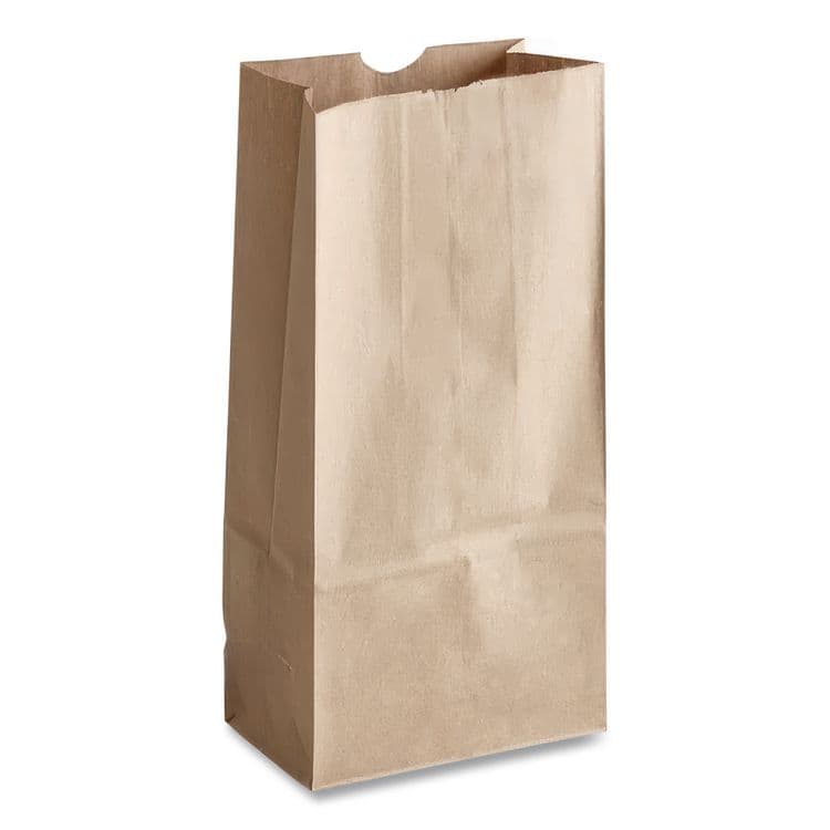 ROSS & WALLACE PAPER PRODUCTS, . Grocery Paper Bags, 20# Size, 40# Basis Weight, 8.25" x 5.25" x 16.13", Kraft, 500/Bundle (BAGGK20500) thumbnail 2