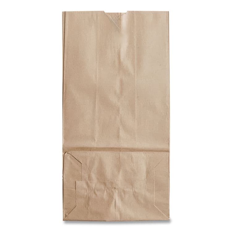 ROSS & WALLACE PAPER PRODUCTS, . Grocery Paper Bags, 20# Size, 40# Basis Weight, 8.25" x 5.25" x 16.13", Kraft, 500/Bundle (BAGGK20500) thumbnail 3