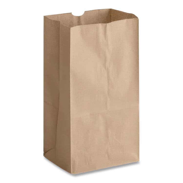 ROSS & WALLACE PAPER PRODUCTS, . Grocery Paper Bags, 25# Size, 40# Basis Weight, 8.25" x 5.38" x 18", Kraft, 500/Bundle (BAGGK25500) thumbnail 2