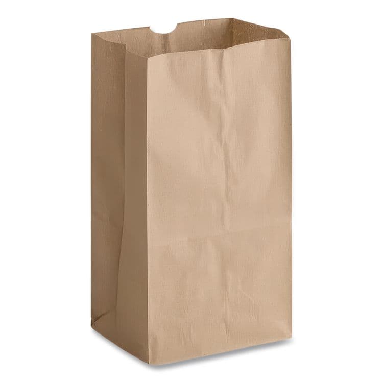 ROSS & WALLACE PAPER PRODUCTS, . Grocery Paper Bags, 20# Squat Size, Extra-Heavy-Duty, 60# Basis Weight, 8.13" x 5.88" x 12.5", Kraft, 500/Bundle (BAGGX2060S) thumbnail 2