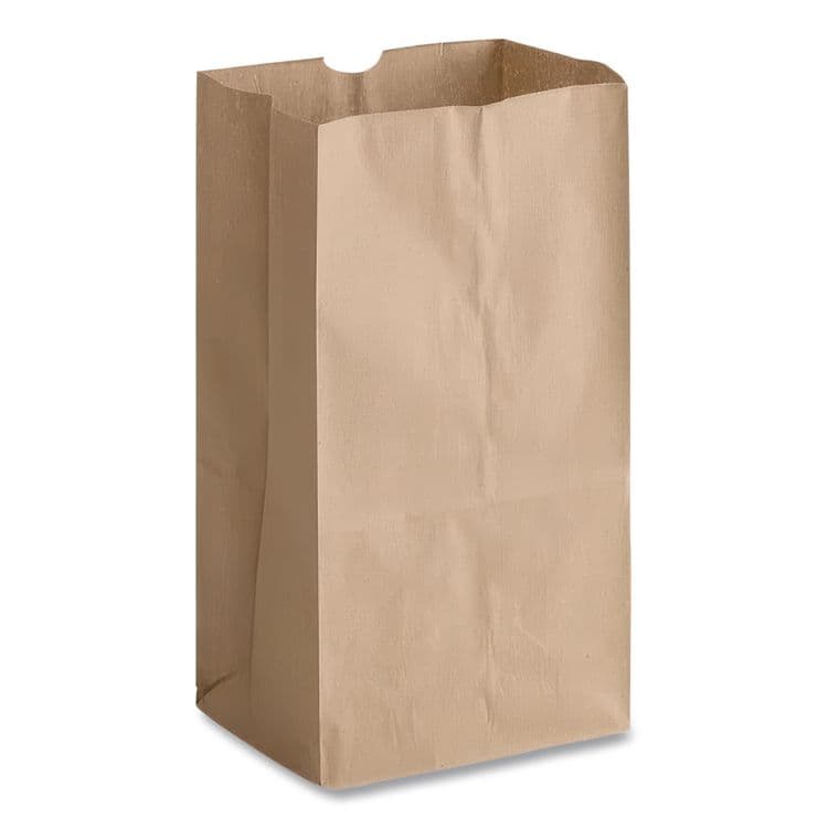 ROSS & WALLACE PAPER PRODUCTS, . Grocery Paper Bags, 2# Size, X-Heavy-Duty, 50# Basis Weight, 4.13" x 2.63" x 7.88", Kraft, 250 Bags/Pack, 2 Packs/Bundle (BAGGX2500) thumbnail 2