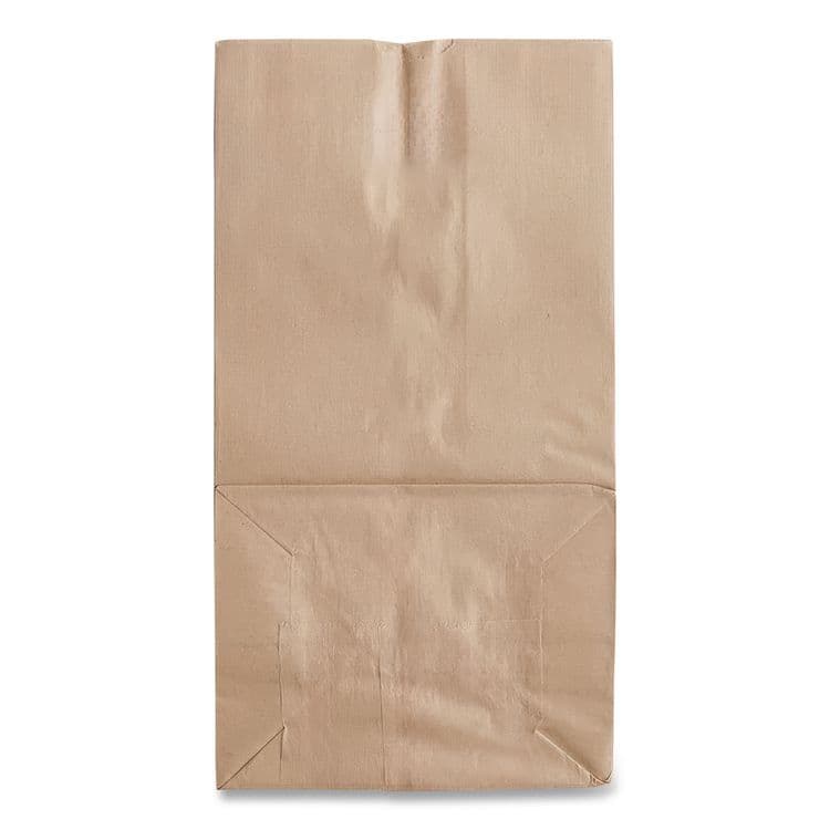 ROSS & WALLACE PAPER PRODUCTS, . Grocery Paper Bags, 2# Size, X-Heavy-Duty, 50# Basis Weight, 4.13" x 2.63" x 7.88", Kraft, 250 Bags/Pack, 2 Packs/Bundle (BAGGX2500) thumbnail 4