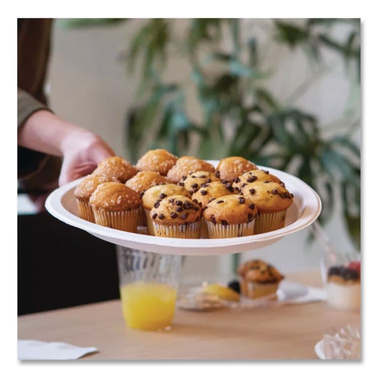 HUHTAMAKI Paper Dinnerware, Plate, 8.75" dia, White, 500/Carton (HUH21227) thumbnail 2