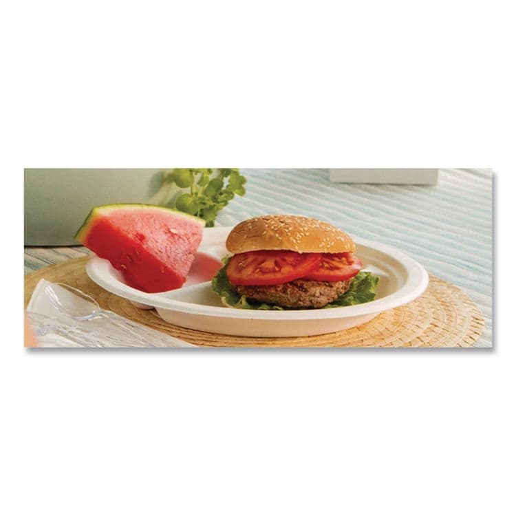 HUHTAMAKI Paper Dinnerware, 3-Compartment Plate, 9.25" dia, White, 500/Carton (HUH21228) thumbnail 4