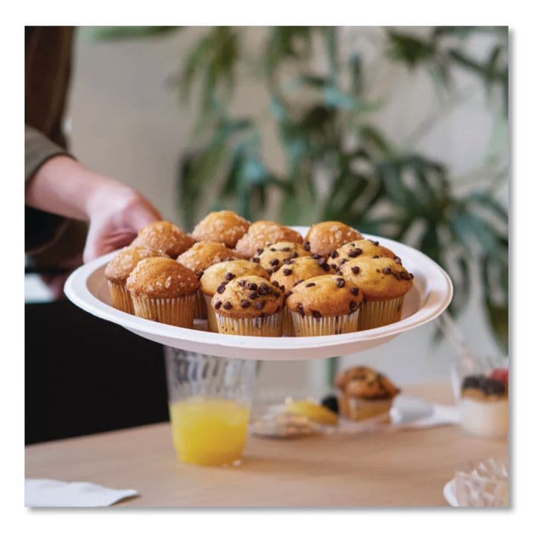 HUHTAMAKI Classic Paper Dinnerware, Plate, 9.75" dia, White, 125/Pack, 4 Packs/Carton (HUH21232) thumbnail 2