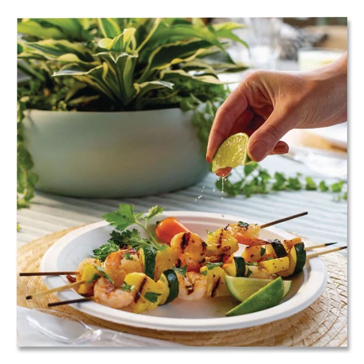 HUHTAMAKI PaperPro Naturals Molded Fiber Dinnerware, Round Plates, 10.5" dia, Natural, 125/Pack, 4 Packs/Carton (HUH25776) thumbnail 3