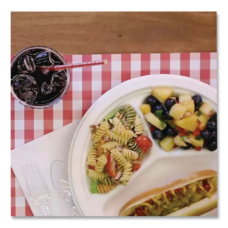 HUHTAMAKI PaperPro Naturals Molded Fiber Dinnerware, Round Plates, 3-Compartment, 10.25" dia, Natural, 125/Pack, 4 Packs/Carton (HUH25777CT) thumbnail 2