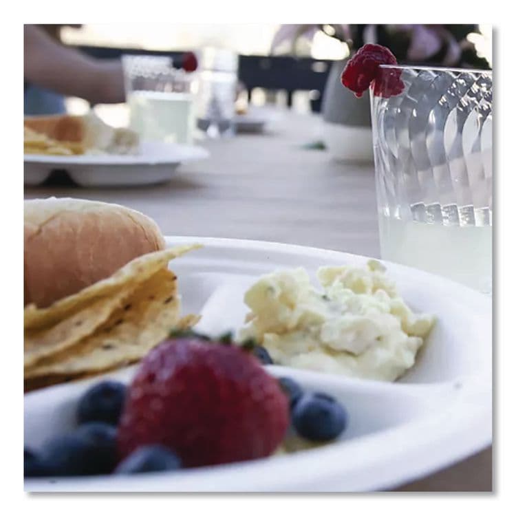 HUHTAMAKI PaperPro Naturals Molded Fiber Dinnerware, Round Plates, 3-Compartment, 10.25" dia, Natural, 125/Pack, 4 Packs/Carton (HUH25777CT) thumbnail 3