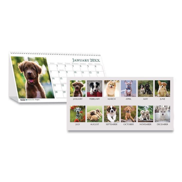 HOUSE OF DOOLITTLE Earthscapes Recycled Desk Tent Monthly Calendar, Puppies Photography, 8.5 x 4.5, White Sheets, 12-Month (Jan to Dec): 2026 (HOD3659)