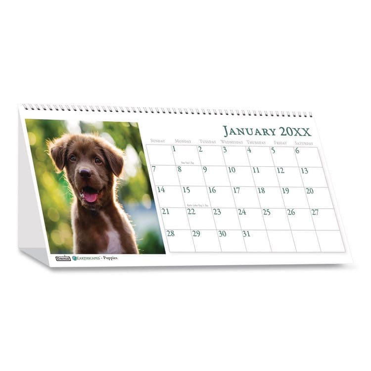 HOUSE OF DOOLITTLE Earthscapes Recycled Desk Tent Monthly Calendar, Puppies Photography, 8.5 x 4.5, White Sheets, 12-Month (Jan to Dec): 2026 (HOD3659) thumbnail 2