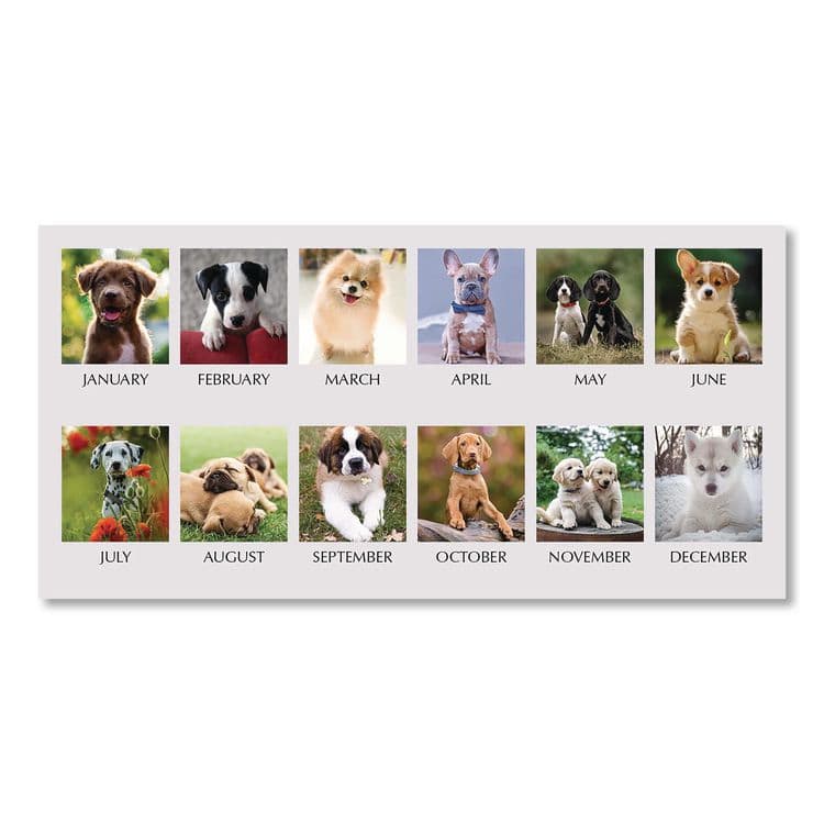 HOUSE OF DOOLITTLE Earthscapes Recycled Desk Tent Monthly Calendar, Puppies Photography, 8.5 x 4.5, White Sheets, 12-Month (Jan to Dec): 2026 (HOD3659) thumbnail 3