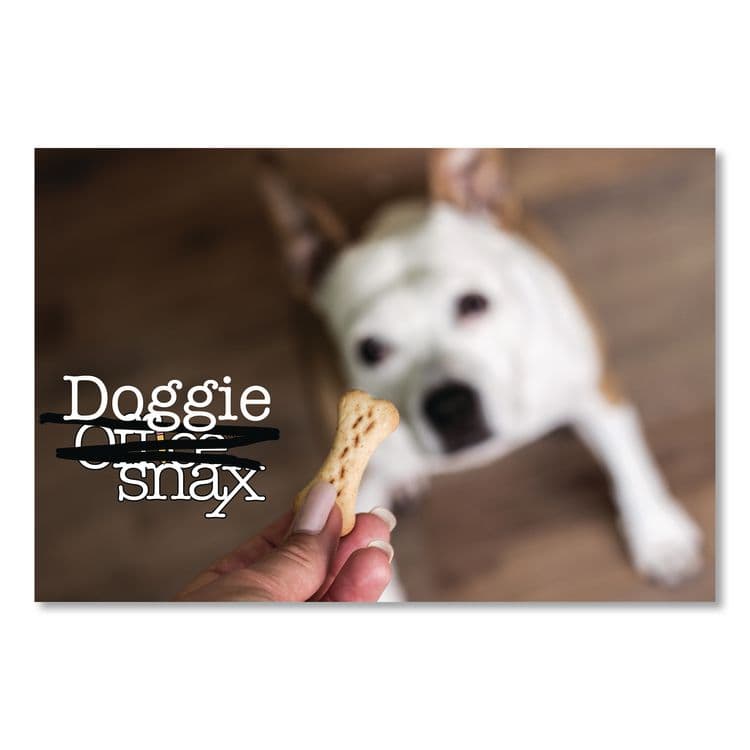 OFFICE SNAX, . Doggie Biscuits, Assorted, 4 lb Bag (OFX00612) thumbnail 4