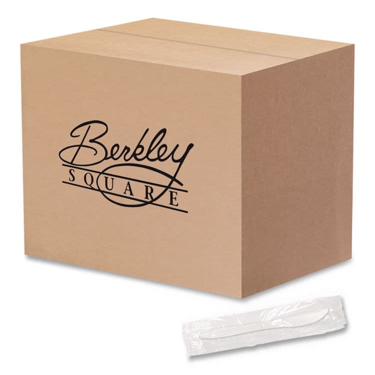 BERK ENTERPRISES Individually Wrapped Mediumweight Cutlery, Knife, Plastic, White, 1,000/Carton (BSQ1101000)