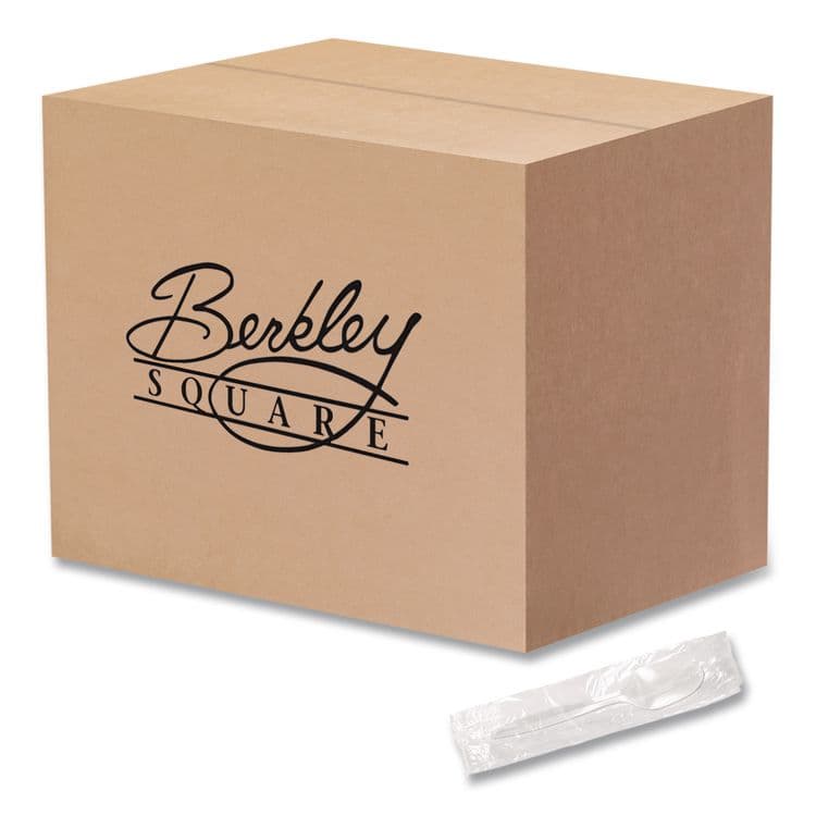 BERK ENTERPRISES Individually Wrapped Mediumweight Cutlery, Spoon, Plastic, White, 1,000/Carton (BSQ1103000) thumbnail 3