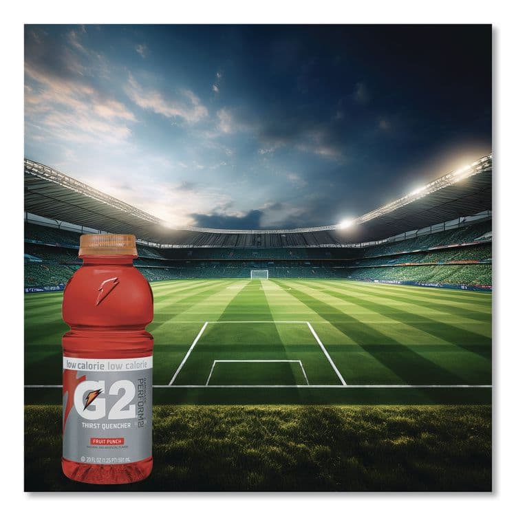 PEPSICO G2 Perform 02 Low-Calorie Thirst Quencher, Fruit Punch, 20 oz Bottle, 24/Carton (QKR04053) thumbnail 2