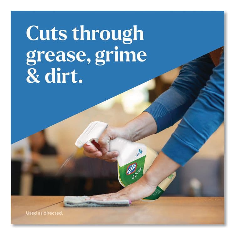 CLOROX SALES CO. Clorox Pro EcoClean All-Purpose Cleaner, Unscented, 32 oz Spray Bottle, 9/Carton (CLO60276CT) thumbnail 2