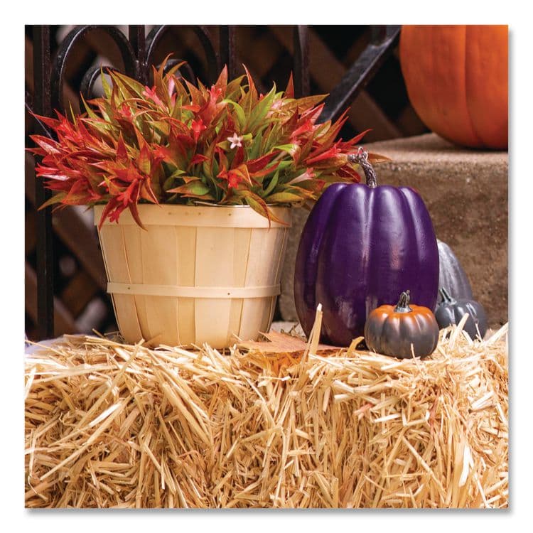 RUST-OLEUM CORPORATION Painter's Touch 2X Ultra Cover Spray Paint, Gloss Purple, 12 oz Aerosol Can, 6/Carton (RST334042) thumbnail 4