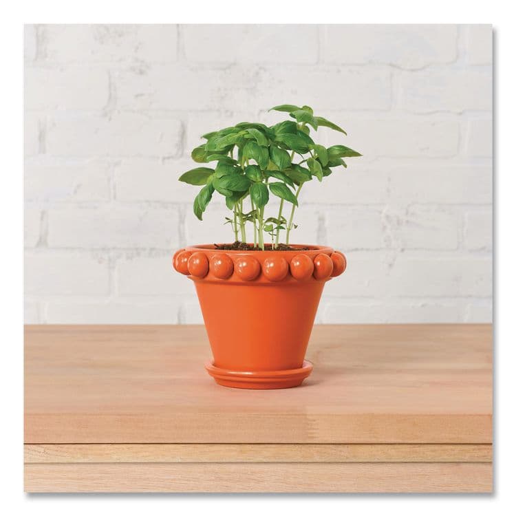 RUST-OLEUM CORPORATION Touch'n Tone Spray Paint, Gloss Orange, 10 oz Aerosol Can, 6/Carton (RST55283830) thumbnail 4