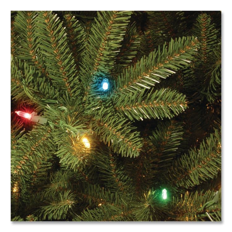 NATIONAL TREE COMPANY Pre-Lit Natural Fraser Fir Tree, 60" x 60" x 90", Green Tree, Green Tree Stand (NTTNAFFMH175RLO) thumbnail 4