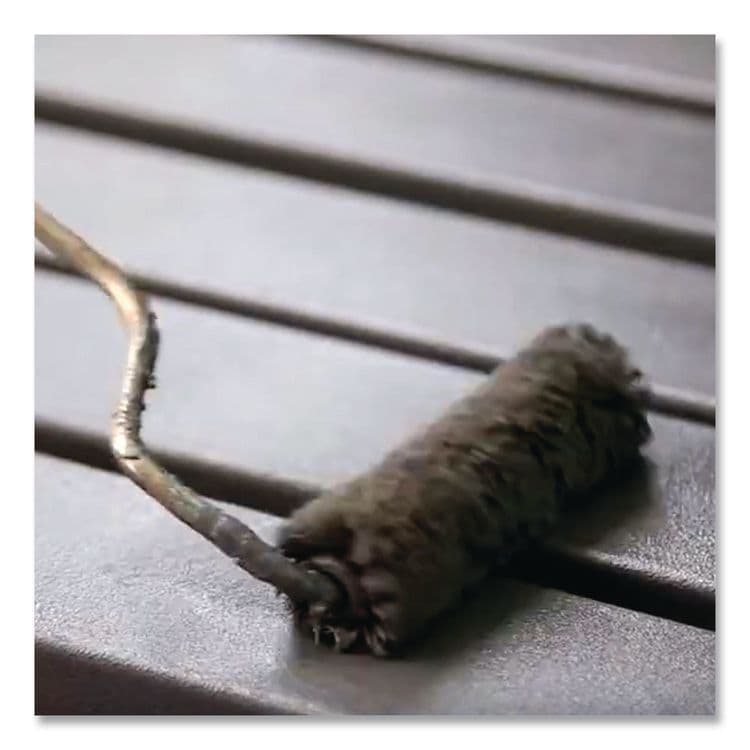 RUST-OLEUM CORPORATION High Performance 9100 System DTM Epoxy Mastic Paint, Gloss Clear, 1 gal Bucket/Pail, 2/Carton (RST9101402) thumbnail 2