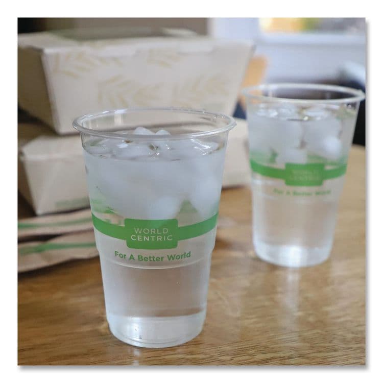 WORLD CENTRIC PLA Clear Cold Cups, 9 oz, Plastic, Clear, 2,000/Carton (WORCPCS9) thumbnail 2