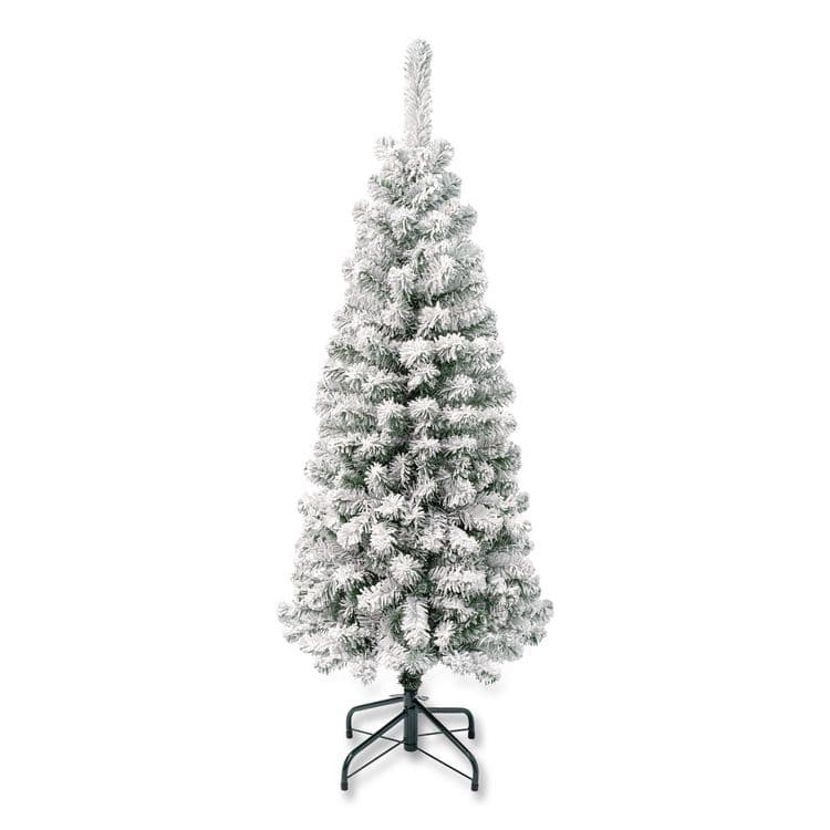 NATIONAL TREE COMPANY Acacia Pencil Slim Flocked Tree, 21" x 21" x 53.1", Green Tree, Green Tree Stand (NTTAC10050445F)