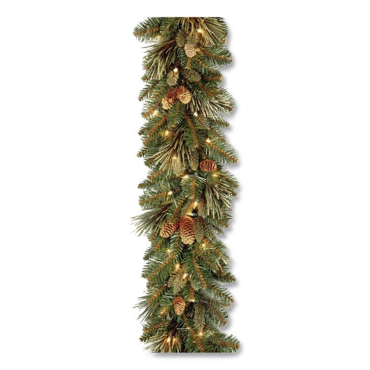 NATIONAL TREE COMPANY Pre-Lit Carolina Pine Garland, AC Powered, Clear Incandescent Lights, 108" Long, Green (NTTCAP33069A1) thumbnail 4