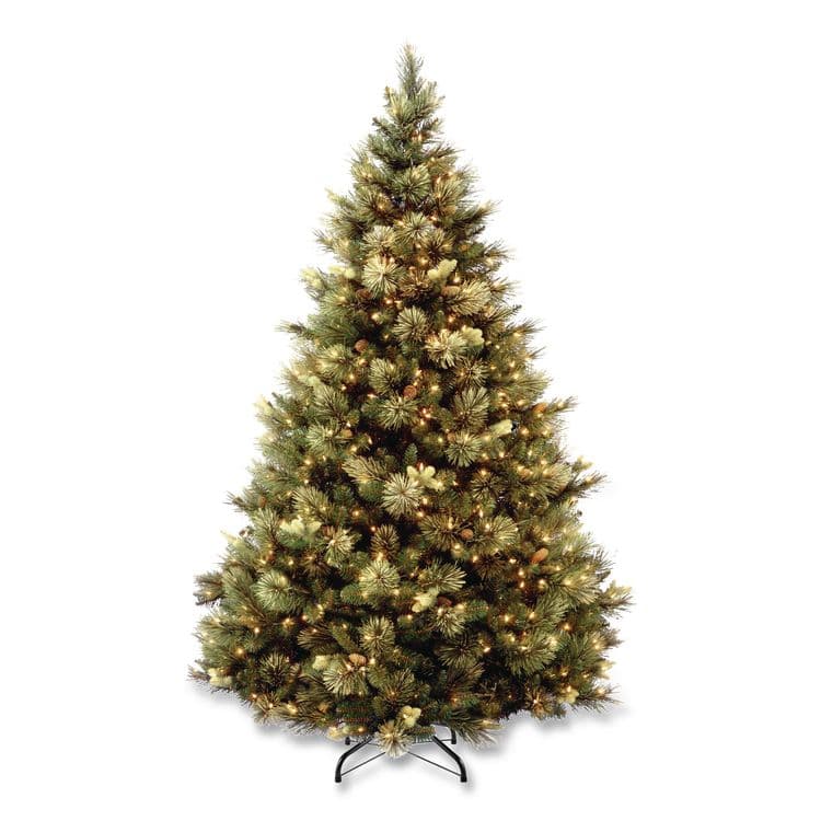 NATIONAL TREE COMPANY Pre-Lit Carolina Pine Tree, 55" x 55" x 78", Green Tree, Green Tree Stand (NTTCAP330665)