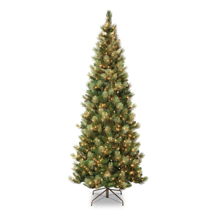 NATIONAL TREE COMPANY Pre-Lit Charleston Pine Slim Tree, 50" x 50" x 108", Green Tree, Green Tree Stand (NTTCHR330490)
